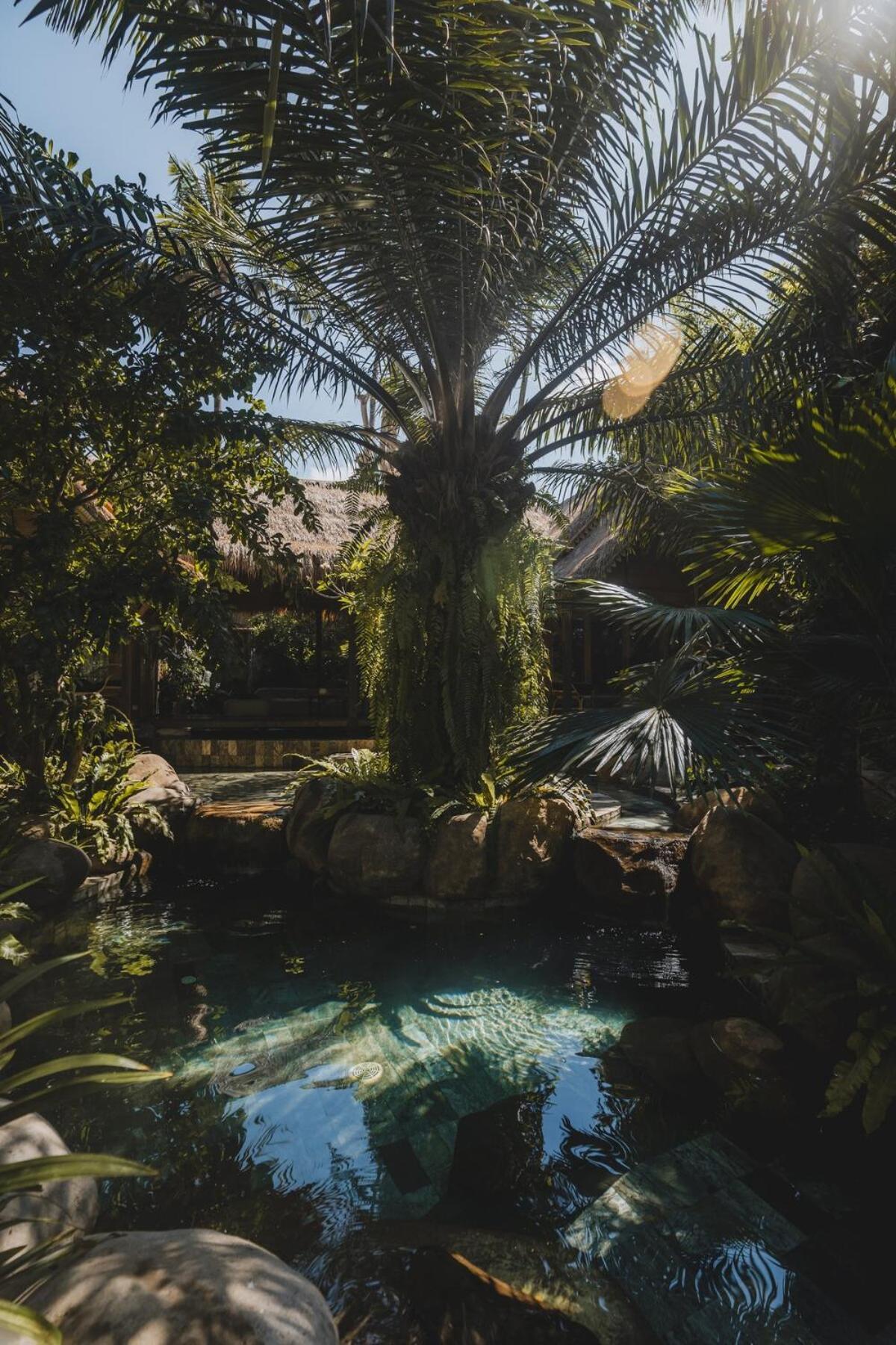 The Seed Bali - Private 8 Bedroom Estate 甘地达萨 外观 照片